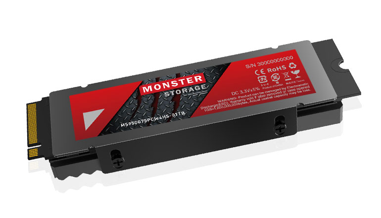 Monster Storage 2TB NVMe SSD MS950の+inforsante.fr